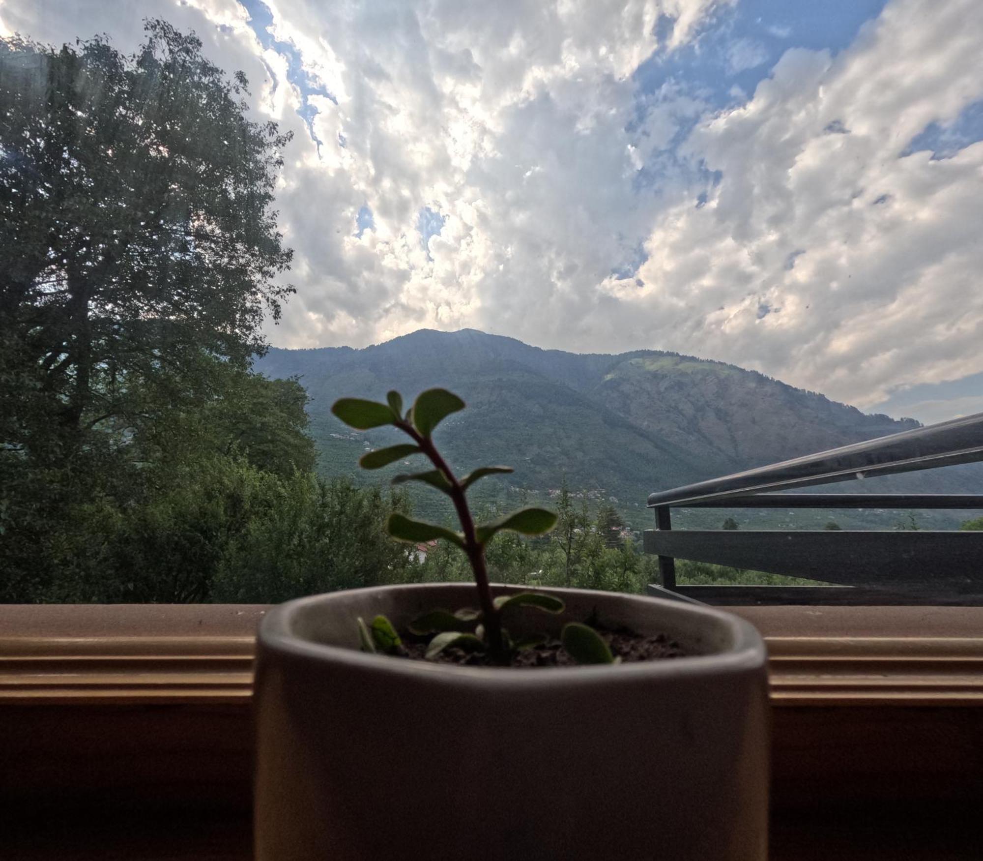Saanjh - A Serene Retreat 마날리 외부 사진